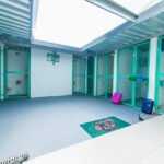 Hotel para gatos