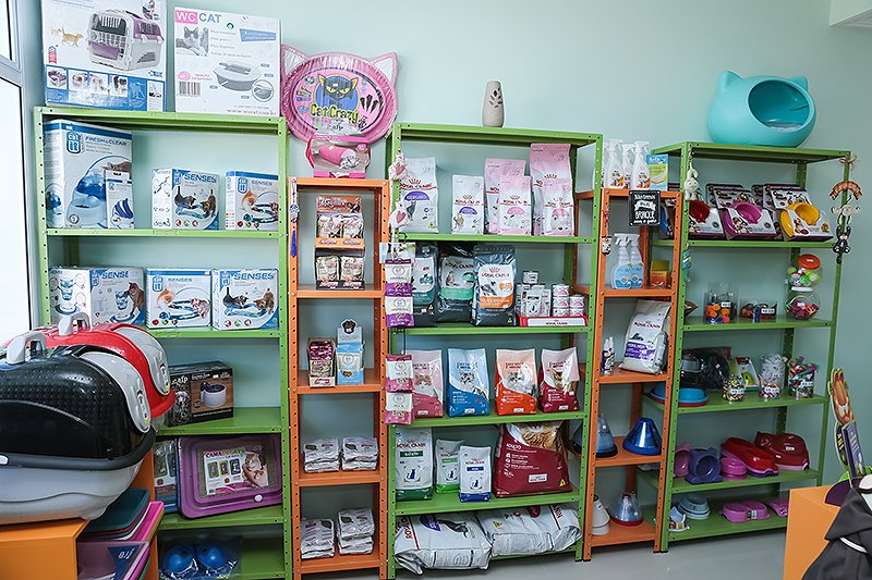 Cat Shop