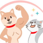 Gato forte feliz e saudável